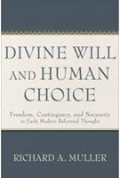 Divine Will and Human Choice (Paperback)