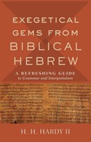 Exegetical Gems from Biblical Hebrew (Paperback)