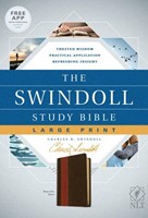 NLT Swindol Study Bible LP Brown Tan Ed (Imitation Leather)