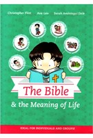 The Bible and the Meaning of Life (Paperback)