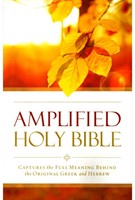 Amplified Outreach Bible (Paperback) (Paperback)