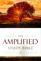 The Amplified Study Bible (Hardcover) (Hardcover)