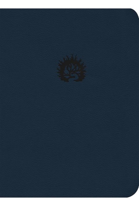 ESV The Reformation Study Bible (Navy LeatherLike)