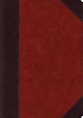 ESV Systematic Theology Study Bible - Trutone Brown