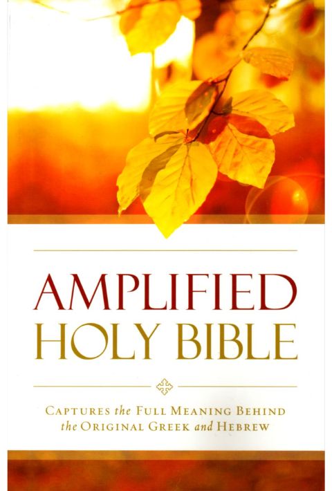Amplified Outreach Bible (Paperback)