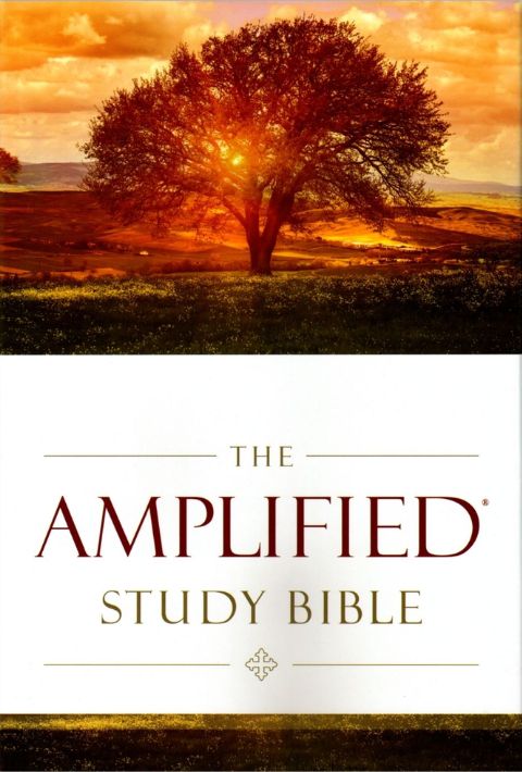 The Amplified Study Bible (Hardcover)