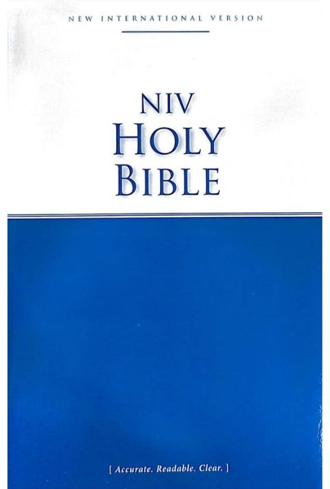 NIV Economy Holy Bible (Paperback)